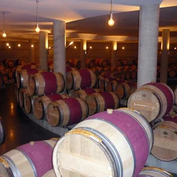 The barrel cellar at Château l'Évangile